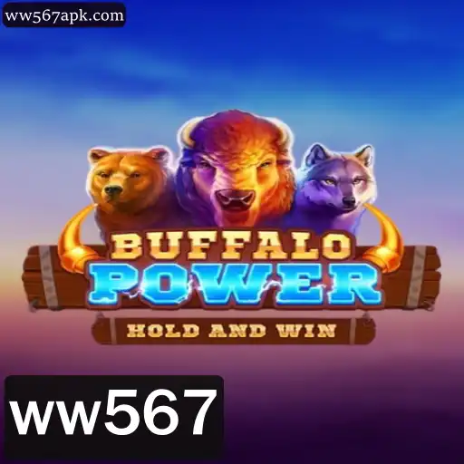 BuffaloPower: Explorando o Impacto e as Regras do Jogo em 2023