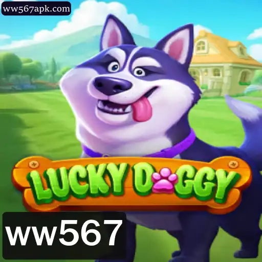 Tudo o que Você Precisa Saber Sobre LuckyDoggy